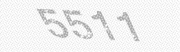 Visual security code — type the characters shown in the image