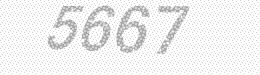Visual security code — type the characters shown in the image